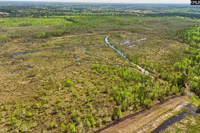 Tbd Alligator Road, Bamberg, SC 29843 - Photo 22