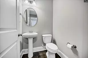 334 Coldwater Crossing, Lexington, SC 29072 - Photo 18