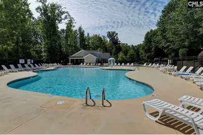 445 Crawley Lane, Chapin, SC 29036 - Photo 40