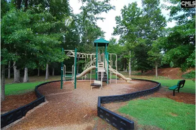 445 Crawley Lane, Chapin, SC 29036 - Photo 44