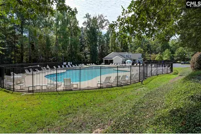 445 Crawley Lane, Chapin, SC 29036 - Photo 42