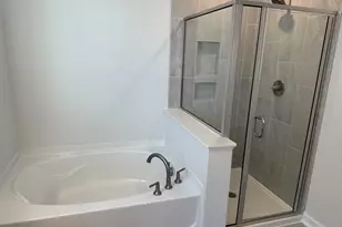 302 Rising Stream Way, Chapin, SC 29036 - Photo 10