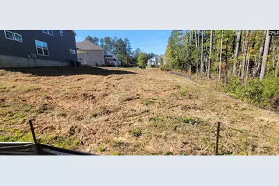 1005 Coogler Crossing Drive, Blythewood, SC 29016 - Photo 2