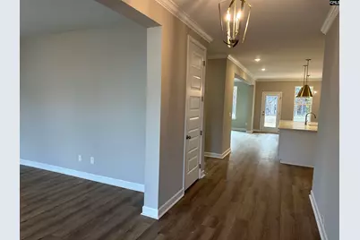 322 Rising Stream Way, Chapin, SC 29036 - Photo 2