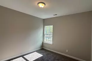 322 Rising Stream Way, Chapin, SC 29036 - Photo 20