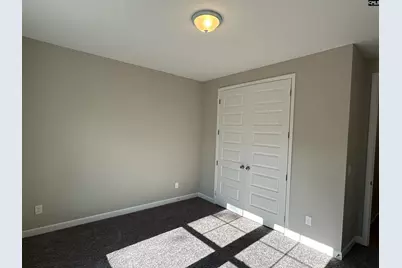 322 Rising Stream Way, Chapin, SC 29036 - Photo 10
