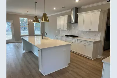 322 Rising Stream Way, Chapin, SC 29036 - Photo 4