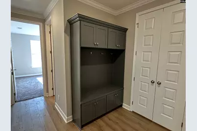 322 Rising Stream Way, Chapin, SC 29036 - Photo 8