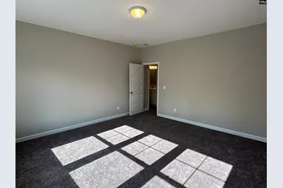 322 Rising Stream Way, Chapin, SC 29036 - Photo 28