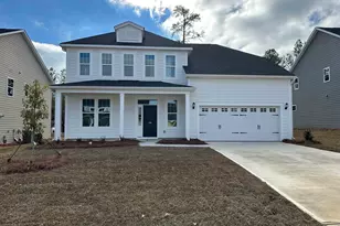 318 Rising Stream Way, Chapin, SC 29036 - Photo 1