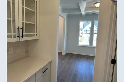 318 Rising Stream Way, Chapin, SC 29036 - Photo 8