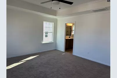 318 Rising Stream Way, Chapin, SC 29036 - Photo 10