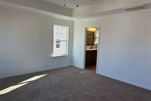 318 Rising Stream Way, Chapin, SC 29036 - Photo 10