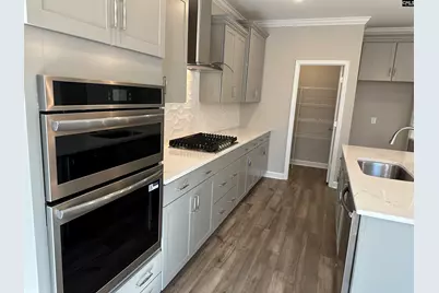 314 Rising Stream Way, Chapin, SC 29036 - Photo 6