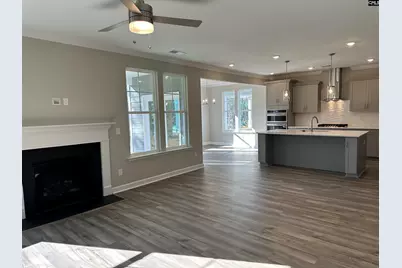 314 Rising Stream Way, Chapin, SC 29036 - Photo 10