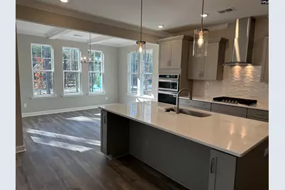 314 Rising Stream Way, Chapin, SC 29036 - Photo 4