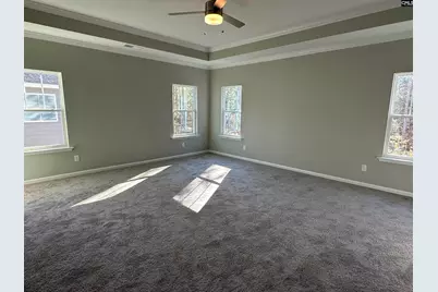 310 Rising Stream Way, Chapin, SC 29036 - Photo 12