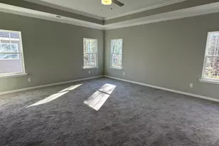 310 Rising Stream Way, Chapin, SC 29036 - Photo 12