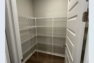 310 Rising Stream Way, Chapin, SC 29036 - Photo 16