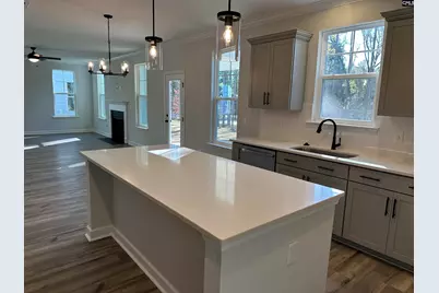 306 Rising Stream Way, Chapin, SC 29036 - Photo 10