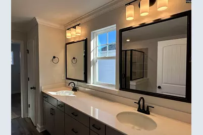 306 Rising Stream Way, Chapin, SC 29036 - Photo 14