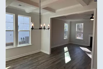 306 Rising Stream Way, Chapin, SC 29036 - Photo 6