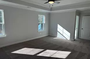 306 Rising Stream Way, Chapin, SC 29036 - Photo 12