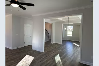 306 Rising Stream Way, Chapin, SC 29036 - Photo 8
