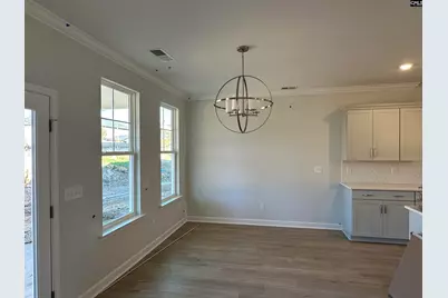 609 Falling Leaf Lane, Chapin, SC 29036 - Photo 10