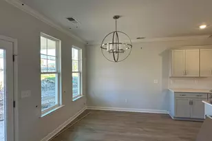 609 Falling Leaf Ln, Chapin, SC 29036 - Photo 10