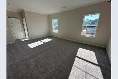 387 Rising Stream Way, Chapin, SC 29036 - Photo 10