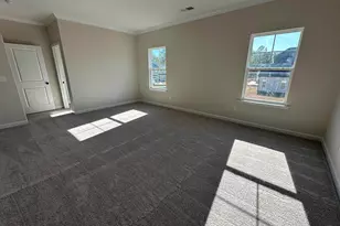 387 Rising Stream Way, Chapin, SC 29036 - Photo 10