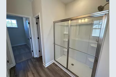 387 Rising Stream Way, Chapin, SC 29036 - Photo 12