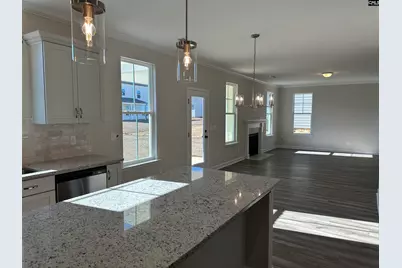 387 Rising Stream Way, Chapin, SC 29036 - Photo 8
