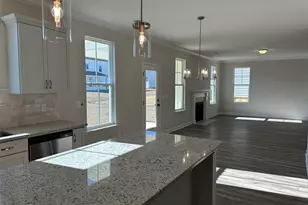 387 Rising Stream Way, Chapin, SC 29036 - Photo 8