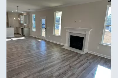 387 Rising Stream Way, Chapin, SC 29036 - Photo 6