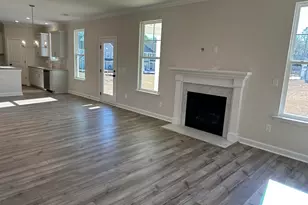 387 Rising Stream Way, Chapin, SC 29036 - Photo 6