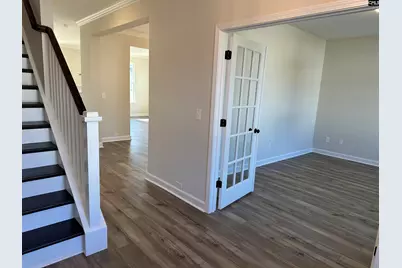 387 Rising Stream Way, Chapin, SC 29036 - Photo 2
