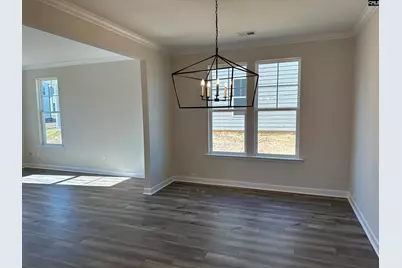 387 Rising Stream Way, Chapin, SC 29036 - Photo 4