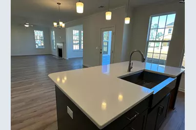 311 Rising Stream Way, Chapin, SC 29036 - Photo 8