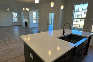 311 Rising Stream Way, Chapin, SC 29036 - Photo 8