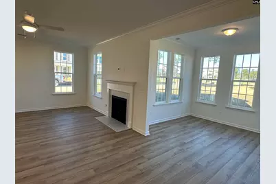 311 Rising Stream Way, Chapin, SC 29036 - Photo 6