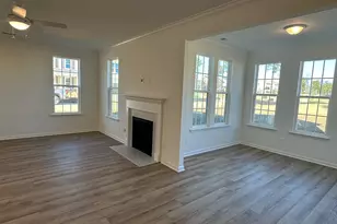 311 Rising Stream Way, Chapin, SC 29036 - Photo 6