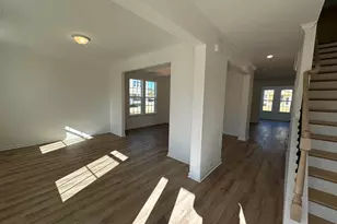 311 Rising Stream Way, Chapin, SC 29036 - Photo 4