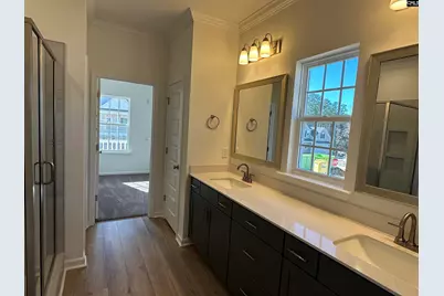 311 Rising Stream Way, Chapin, SC 29036 - Photo 16