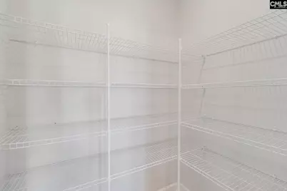 345 Rising Stream Way, Chapin, SC 29036 - Photo 20