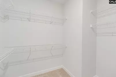 345 Rising Stream Way, Chapin, SC 29036 - Photo 22