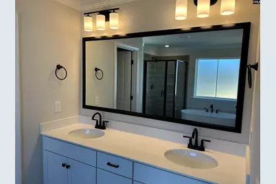366 Rising Stream Way, Chapin, SC 29036 - Photo 12