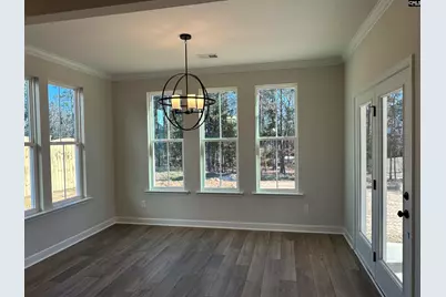 366 Rising Stream Way, Chapin, SC 29036 - Photo 8