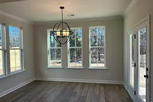 366 Rising Stream Way, Chapin, SC 29036 - Photo 8